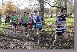 Begles 15.12.13 01 559 * 679 x 453 * (219KB)